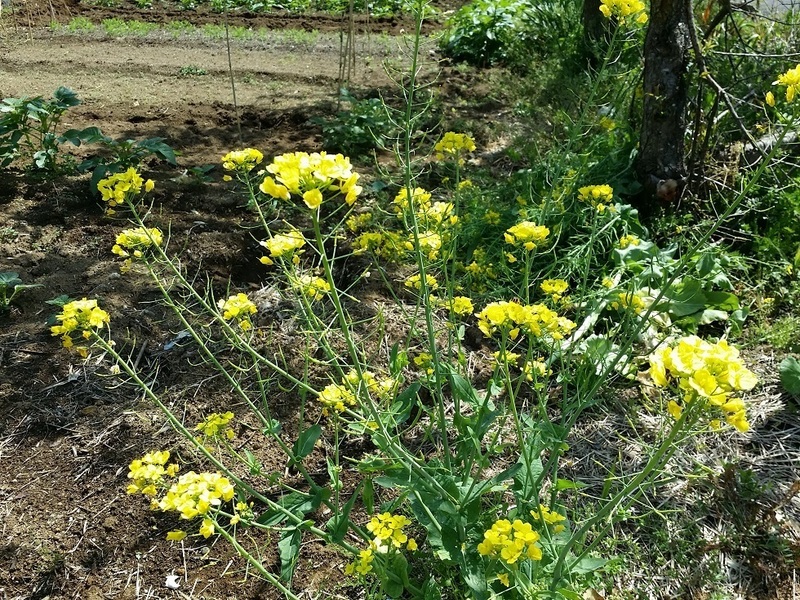 20170423_101242.jpg