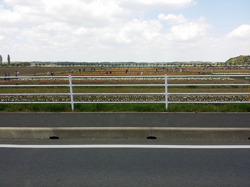 20170423_113628.jpg