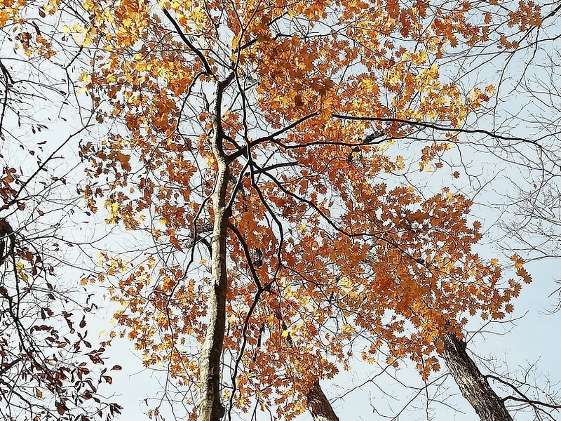 56.jpg