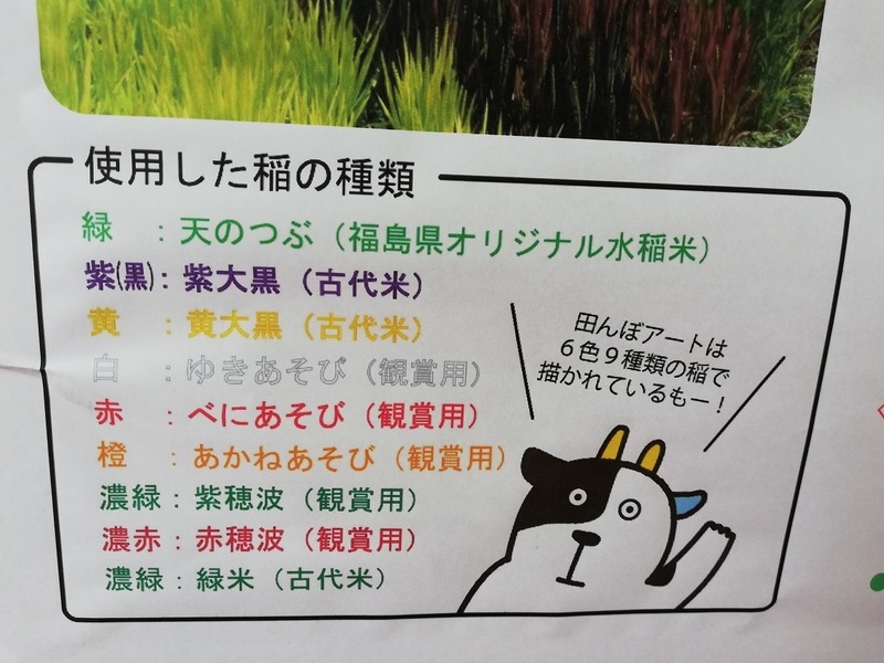96.jpg