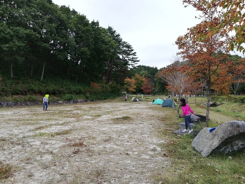 IMG_20181008_093603.jpg