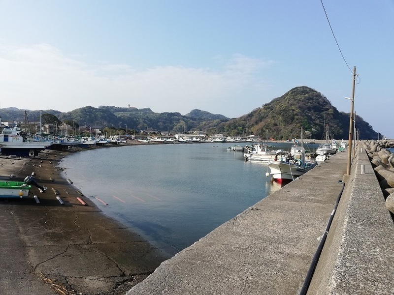 IMG_20200405_074854.jpg